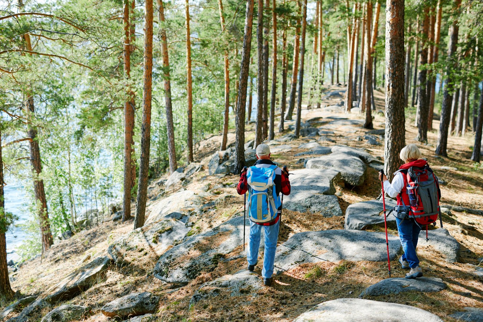 guided hiking and cycling
